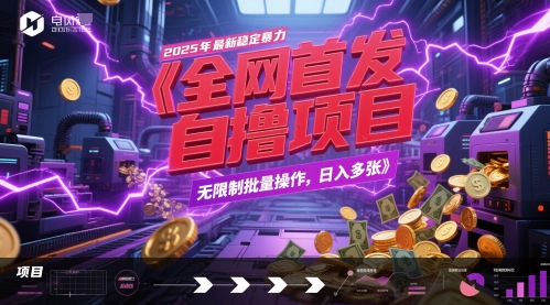 全网首发，2025年最新稳定暴力全自动自撸项目，无限制批量操作，日入多张【揭秘】-十一网创