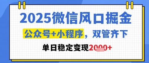 2025微信风口掘金，公众号+小程序双管齐下，单日稳定变现1k+【揭秘】-十一网创