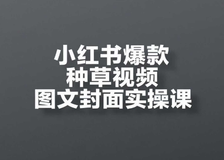 小红书爆款种草视频图文封面实操课，​开店、选品、引流、变现全流程-十一网创