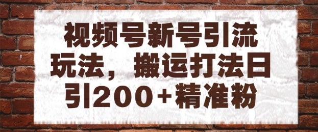 视频号新号引流玩法，搬运打法日引200+精准粉，可矩阵放大【揭秘】-十一网创