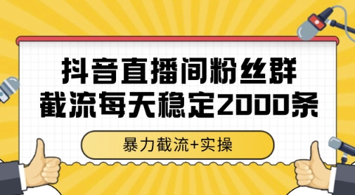 抖音直播间粉丝群暴力截流，一台电脑每天稳定2000条数据，暴力截流+实操【揭秘】-十一网创