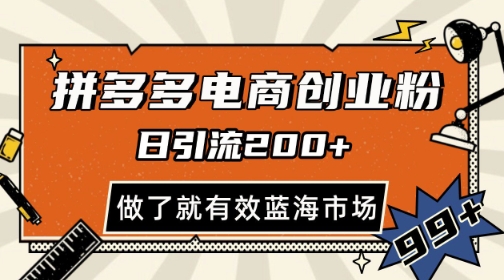 拼多多引流电商创业粉，日引200+，可矩阵放大，做了就有效【揭秘】-十一网创