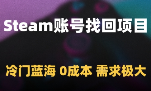 Steam账号找回项目，冷门蓝海，0成本，需求极大-十一网创