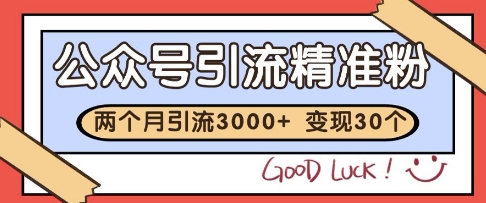 公众号精准粉引流玩法，2个月3000+精准粉，变现30个W【揭秘】-十一网创