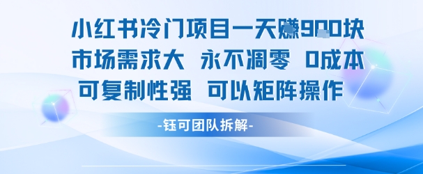 小红书冷门项目一天收益9张，市场需求大，0成本，可复制性强可以矩阵操作-十一网创
