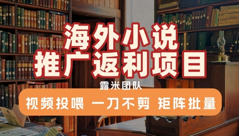 海外小说推广返利项目，视频投喂，一刀不剪，矩阵批量-十一网创