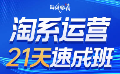白凤电商·淘系运营21天速成班(更新7月)-十一网创