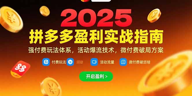拼多多盈利实战指南，强付费玩法，活动爆流技术，微付费破局方案(更新7月-十一网创