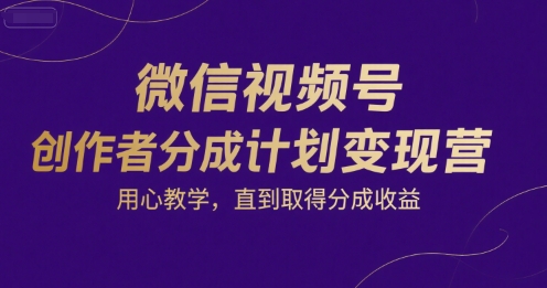微信视频号创作者分成计划变现营，用心教学，直到取得分成收益-十一网创