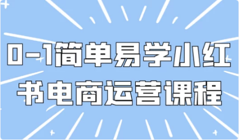 0-1简单易学小红书电商运营课程-十一网创