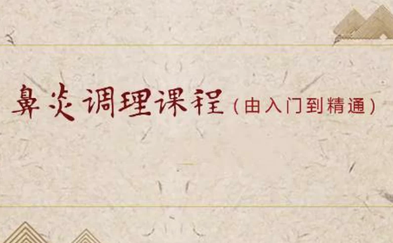小儿推拿之鼻炎调理课程（入门到精通）-十一网创