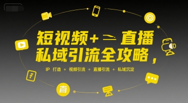 短视频+直播私域引流全攻略，IP打造+视频引流+直播引流+私域沉淀-十一网创