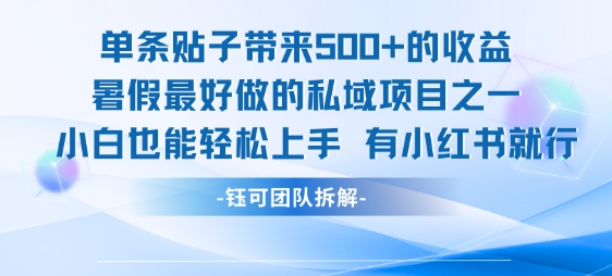 单条贴子带来5张的收益，暑假最好做的私域项目之一，小白也能轻松上手，有小红书就行-十一网创