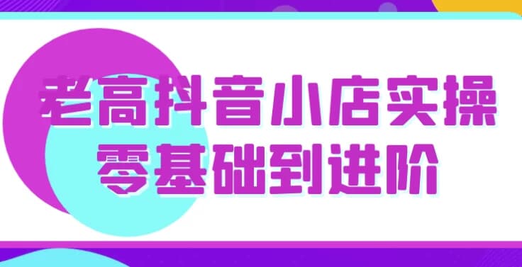 老高抖音小店实操零基础到进阶-十一网创