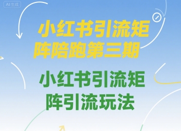 小红书引流矩阵陪跑第三期，小红书引流矩阵引流玩法-十一网创