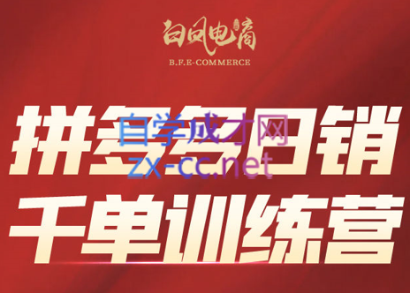 白凤电商·拼多多日销千单训练营(更新7月)-十一网创