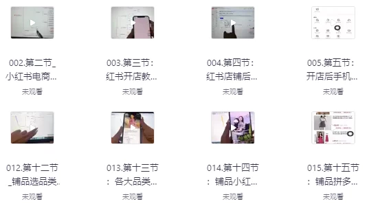 小红书高级电商课程，新手小白实操教学-十一网创