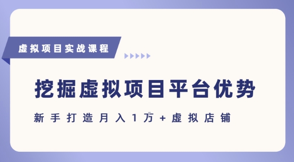 抓住虚拟项目各平台优势，新手轻松月入1W+(给出具体建议)-十一网创