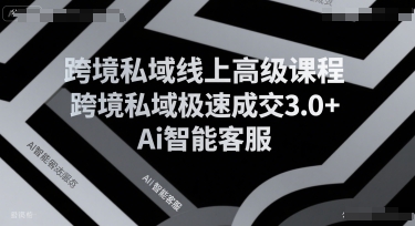 跨境私域线上高级课程，跨境私域极速成交3.0+Ai智能客服-十一网创