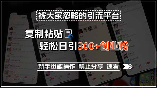 被大家忽略的引流平台，复制粘贴轻松日引300+创业粉，新手也能操作，禁…-十一网创