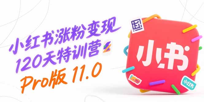 小红书涨粉变现120天特训营Pro版11.0：从0到1掌握平台运营,内容制作和变现-十一网创