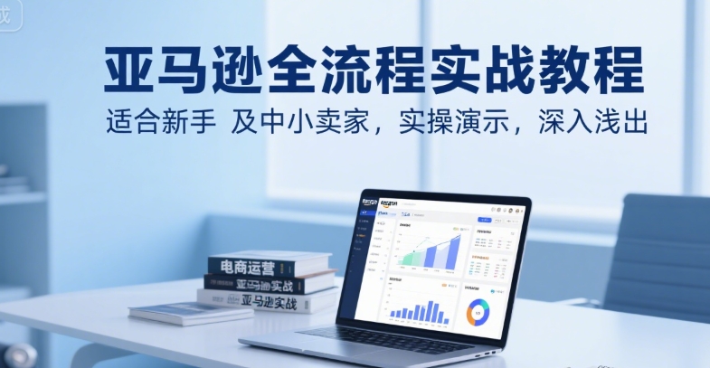 亚马逊全流程实战教程，适合新手及中小卖家，实操演示，深入浅出-十一网创