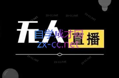 宝子哥·无人直播-非实时防风技术(更新7月)-十一网创