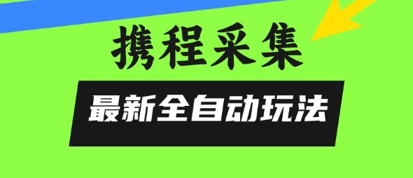 携程信息采集全自动玩法，0风控，无脑开干【揭秘】-十一网创