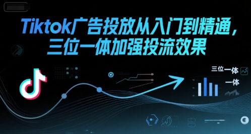 Tiktok广告投放从入门到精通，三位一体加强投流效果-十一网创