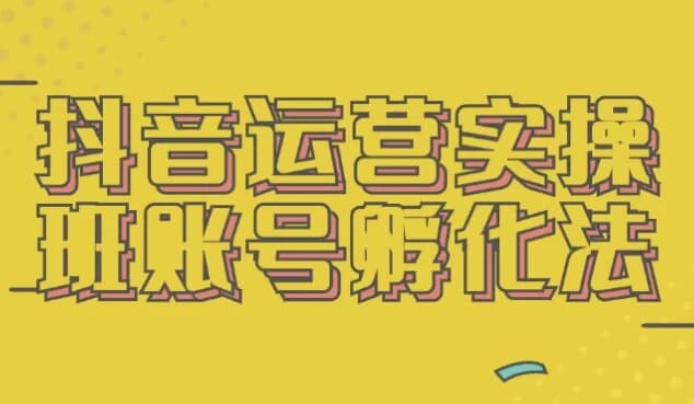抖音运营实操班账号孵化法-十一网创