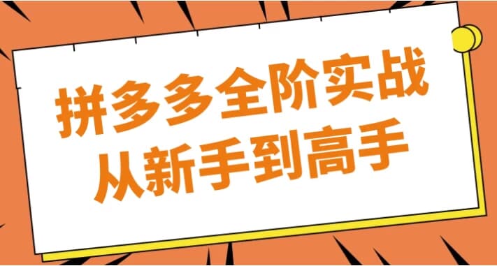 拼多多全阶实战从新手到高手-十一网创