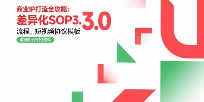 商业IP打造全攻略：差异化SOP3.0流程，短视频协议模板，婚恋项目实战案例-十一网创