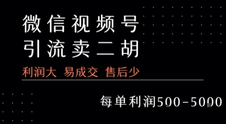 视频号卖二胡教程，利润大易成交售后少，一单利润5张+-十一网创