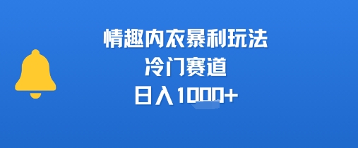 情趣内衣暴利玩法，冷门赛道，日入1k+-十一网创