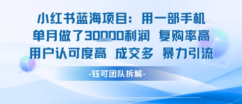 小红书蓝海项目，一部手机单月做了3W利润，小白也能月入过1W用户认可度高成交多-十一网创