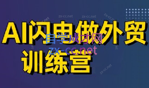大卫·AI闪电做外贸训练营(更新7月)-十一网创