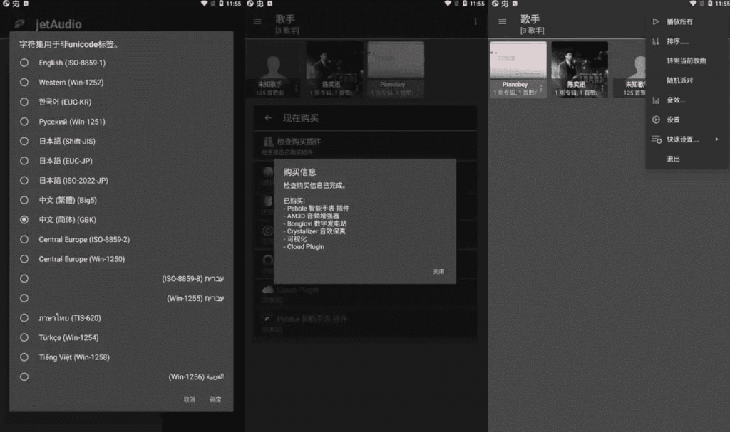 jetAudiov12.3.3最强音乐播放器，高级多语言版-十一网创