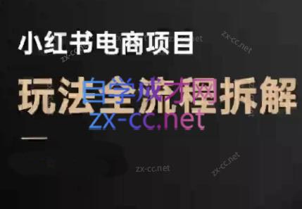 菲菲老师·小红书电商玩法(更新7月)-十一网创