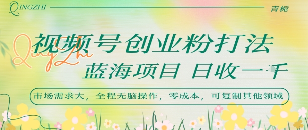 视频号创业粉打法，日入1k，蓝海项目，市场需求大，全程无脑操作，可复制-十一网创