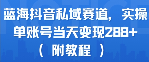 蓝海抖音私域赛道，实操单账号当天变现288+(附教程)-十一网创