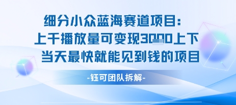 小众蓝海赛道项目：当天变现1k+适合新手操作+适合长期玩-十一网创