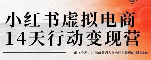 小红书虚拟电商14天变现训练营，虚拟产品，2025年普通人在小红书最后的搞钱机会-十一网创