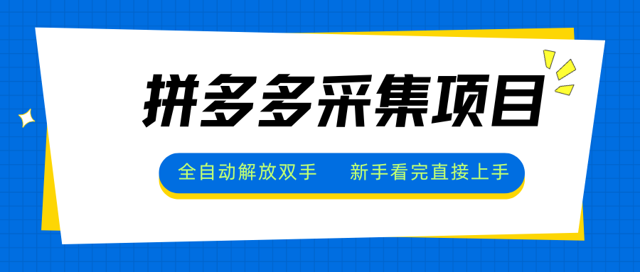 拼多多采集项目，全自动解放双手，单号日入30+-十一网创