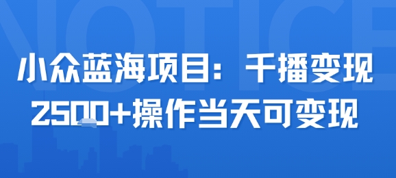 小众蓝海项目，千播变现2.5k+操作当天可变现-十一网创