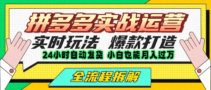 拼多多最新实战运营高投产：长久稳定项目，单店利润一天三位数-十一网创