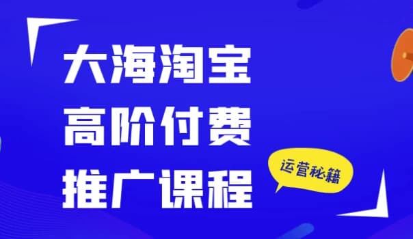 大海淘宝高阶付费推广课程-十一网创