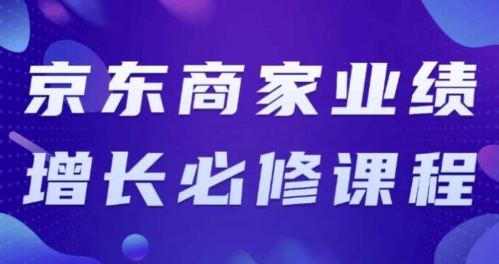 京东商家业绩增长必修课程-十一网创