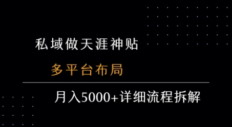 私域做天涯神贴多平台布局月入5k+详细流程拆解-十一网创