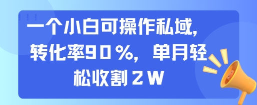 一个小白可操作私域，转化率90%，单月轻松收割2W-十一网创