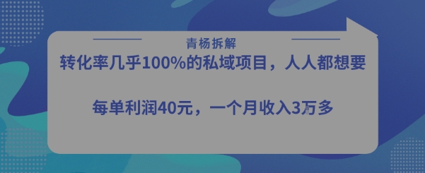 转化率最高的私域项目，每单利润40-50米，月入过1w-十一网创